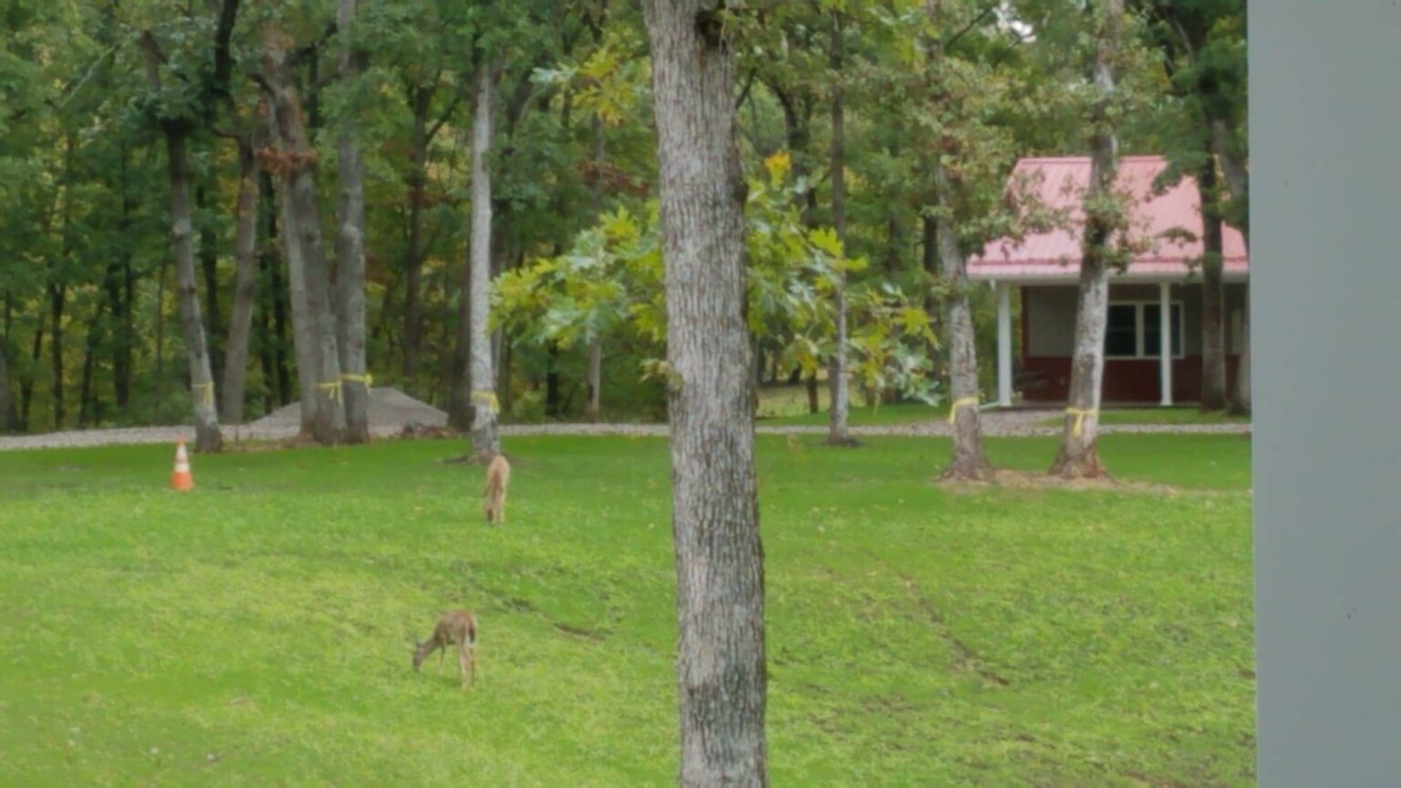 Camping Oak Hollow Campground